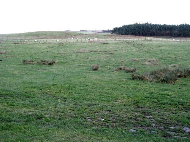 Rough pastures near Knowesgate