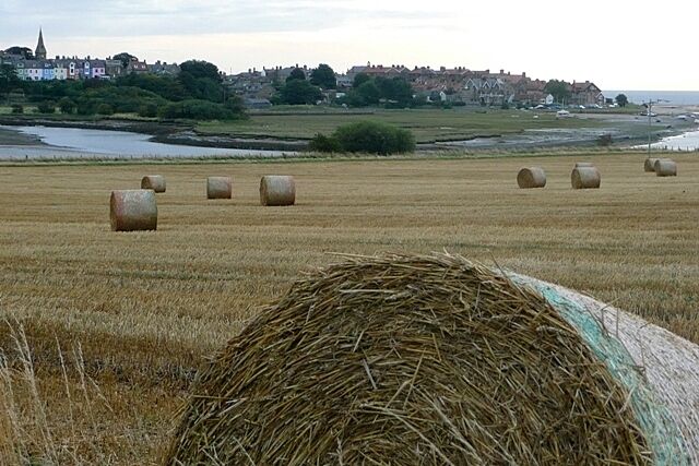 Aln estuary Taken from the National Cycle Network route adjacent to the A1068. These fields overlook the Aln estuary with Alnmouth on a peninsula on the far side.