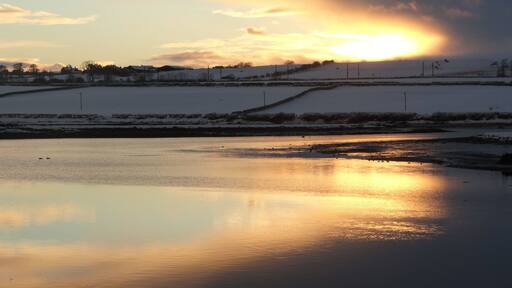 Reflection's in a River.