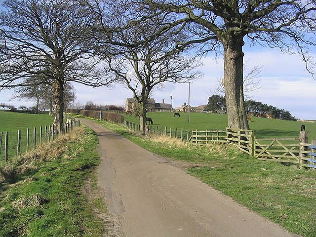 The road to Wooden Farm Wooden Farm is centre right beyond the trees.