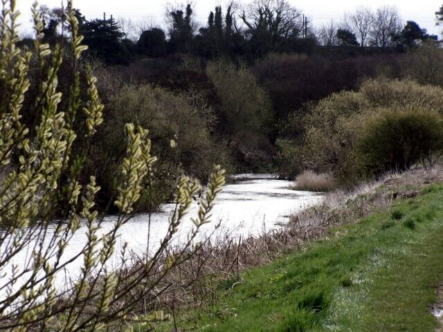 A river flowing through a wooded area with dense vegetation and a grassy bank.