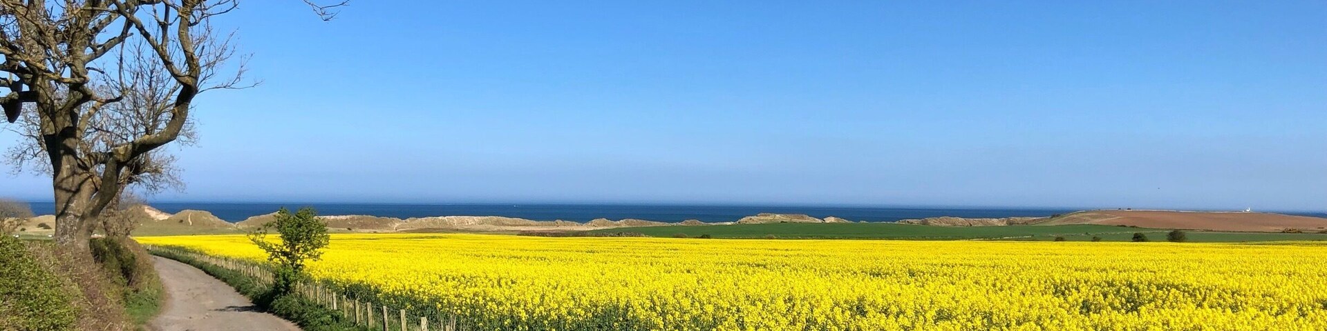 Doesn’t look like the beach but this is from the Alnmouth to Warkworth cycle track looking down onto the Alnmouth beach sand dunes. An absolute gem if you like secluded sandy beaches