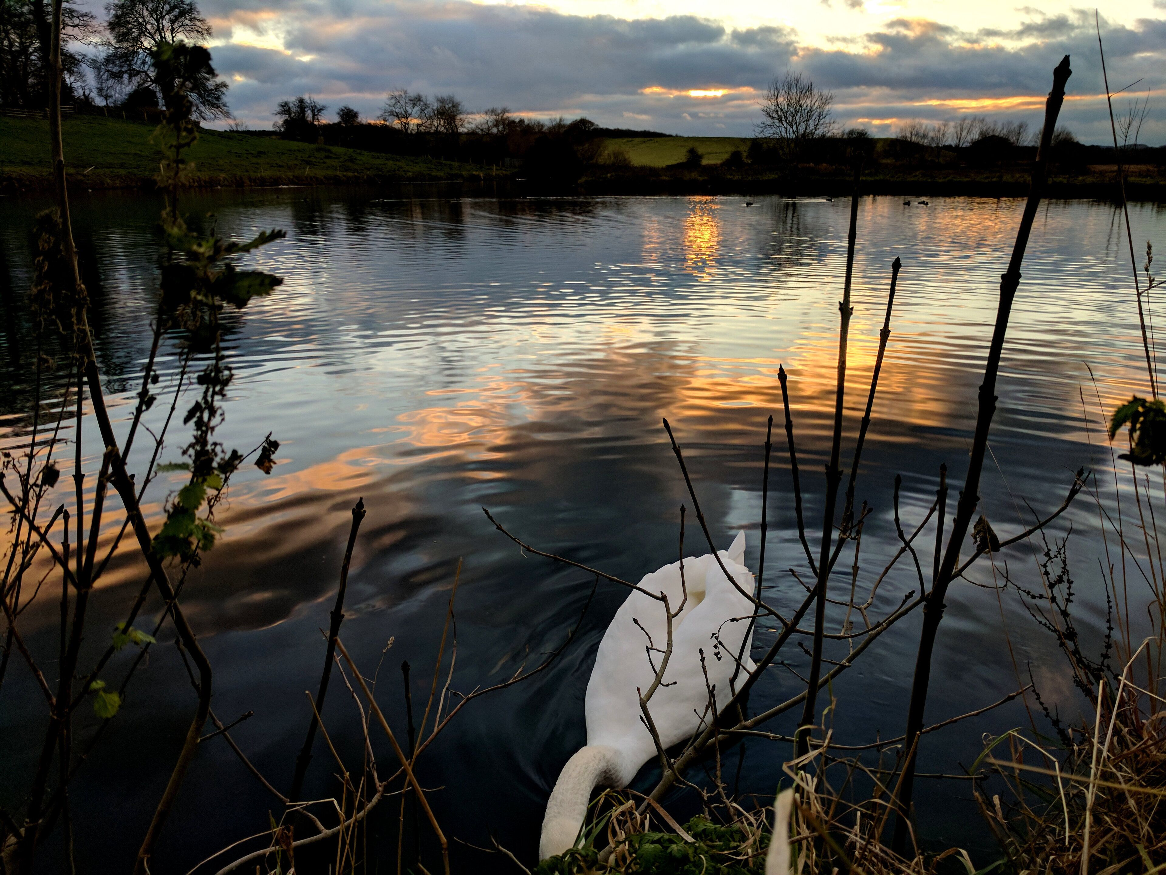 Dam At Cuckney Mill, School Lane, Cuckney Wikidata has entry Q26297816 with data related to this item.
