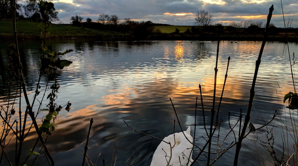 Dam At Cuckney Mill, School Lane, Cuckney Wikidata has entry Q26297816 with data related to this item.