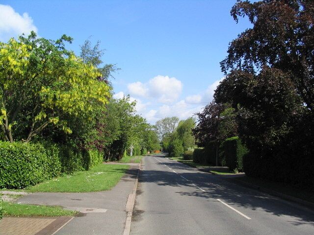 A quiet suburban street lined with trees and a clear blue sky.