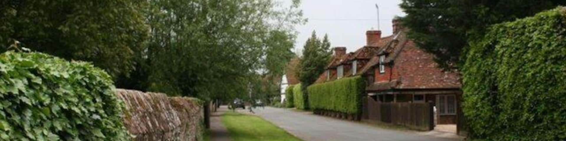 The Street from the end View along the street South Stoke as you see it when you get round the bend from ferry road.