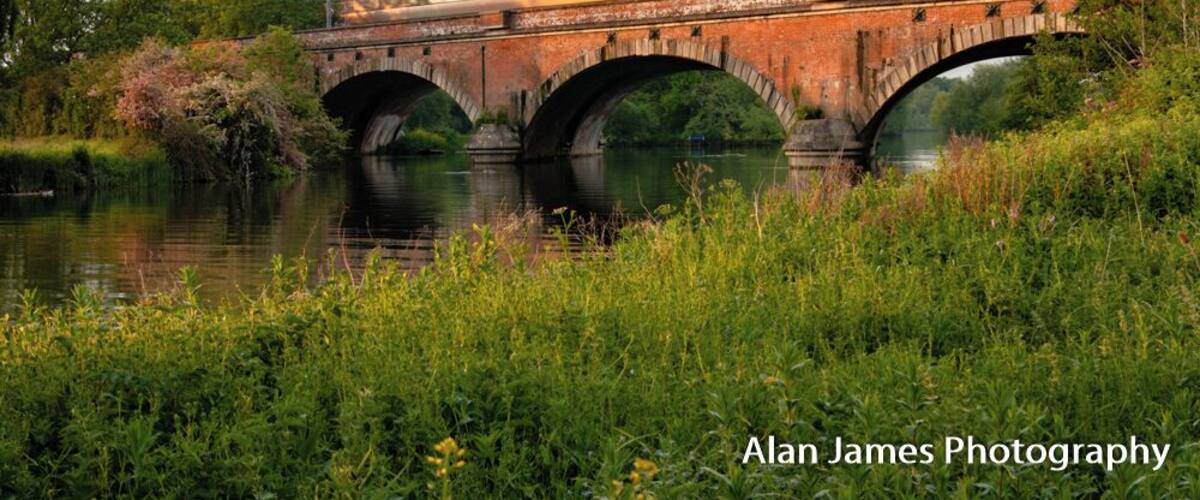 A stone bridge over a river with greenery and trees around.