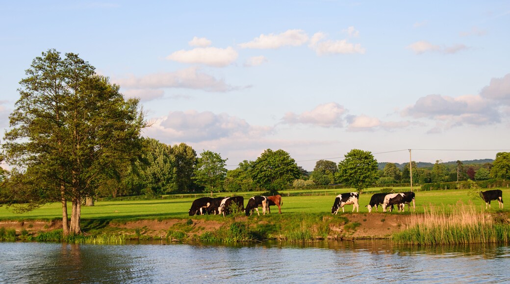 Moulsford on Thames