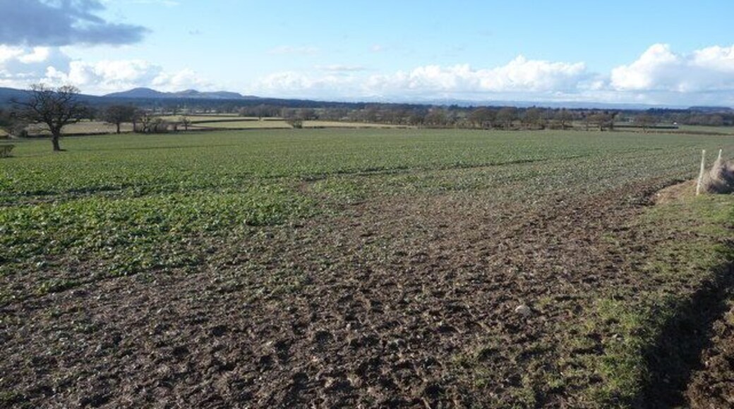 Arable land near Hanwood, Shropshire Arable land in February sunshine. Distant views to the Breidden Hills and the snow dusted Welsh hills beyond.