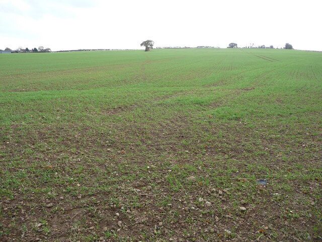 Fields north of Hanwood, Shropshire After following a Roman road for a kilometre my footpath deviates south over winter crops towards Hanwood.