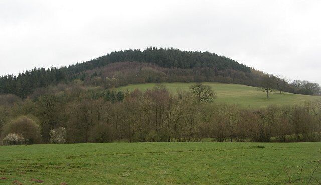 Wart Hill A hill made of a small outcrop of hard Pre-cambrian rock. It is also home of some very fierce brambles.