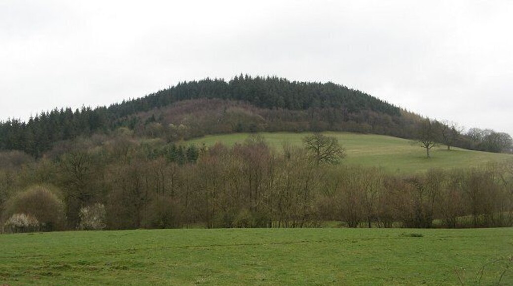Wart Hill A hill made of a small outcrop of hard Pre-cambrian rock. It is also home of some very fierce brambles.