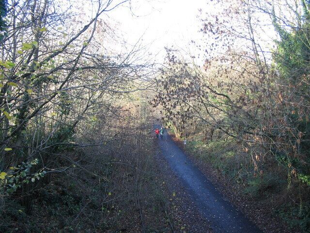 A narrow forest path with dense trees and underbrush.