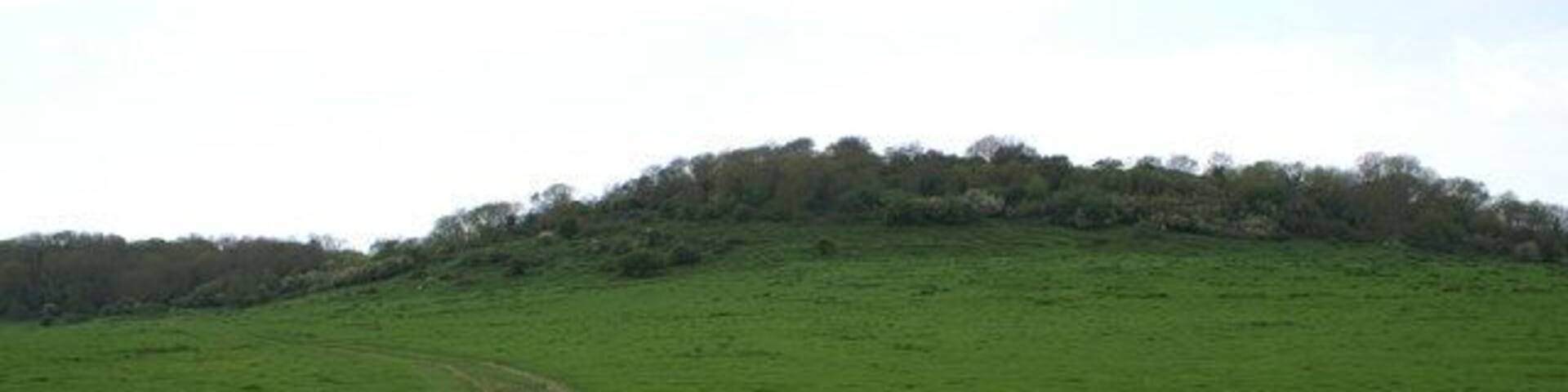 Cannington Park. There is fort/camp on this hill with a footpath running up to it.