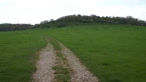 Cannington Park. There is fort/camp on this hill with a footpath running up to it.