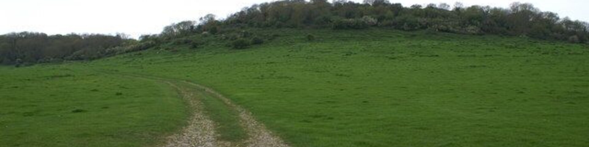 Cannington Park. There is fort/camp on this hill with a footpath running up to it.