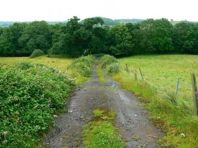 Track to the old North Somerset Railway, near Breach The trackbed of the old railway is just in front of the tree line at the end of the track. There is a project afoot to re-open the line from Radstock to Frome south of here. It seems unlikely that the project will extend this far north. More here http://www.northsomersetrailway.com/