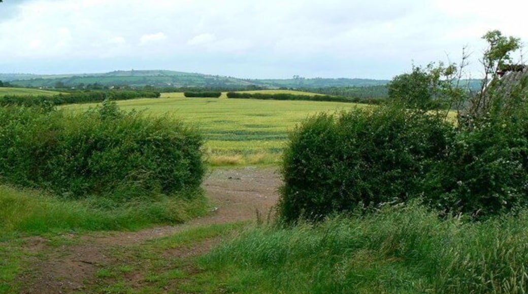 Farmland near Chelwood A barn is just visible at the far right of the image in this view facing north-west. The footpath passes through the gateway.