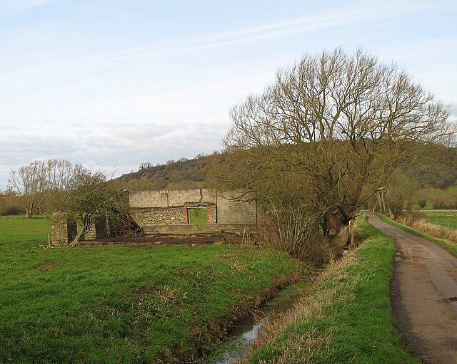 Ruined building A ruined building on Haymoor Drove. Ben Knowle hill can be seen in the background.