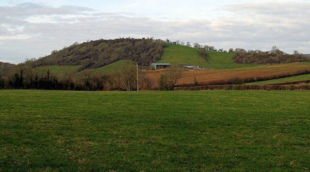 Ben Knowle A picture of Ben Knowle and farm buildings taken from Haymoor Lane in Coxley Wick.