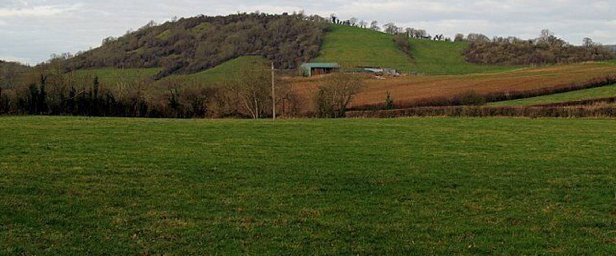 A green field with a hill in the background and a building on top.
