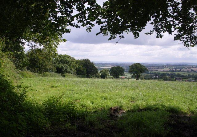 View above Cudworth Taken from a gateway on the lane down from the Windwhistle Ridge to Cudworth; the lane continues behind the hedge on the left. The two darker trees formed part of a vanished field boundary.