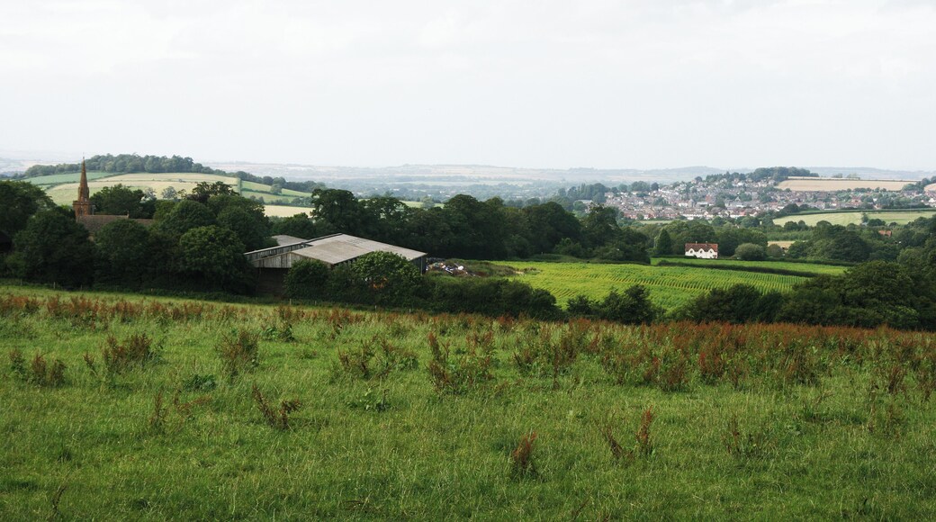 Cricket Malherbie and Ilminster
