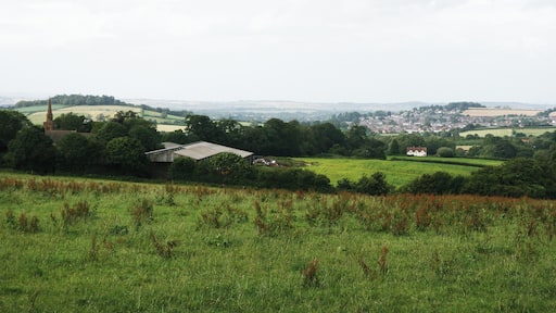 Cricket Malherbie and Ilminster