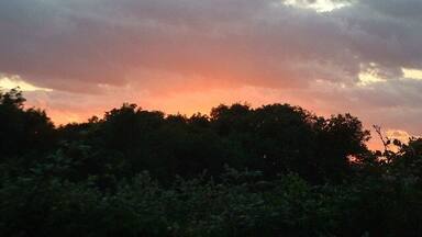 Atardecer con un cielo de tonos naranja y morado, y silueta de árboles en primer plano.