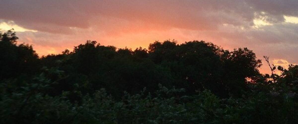 A sunset with a sky of orange and purple hues, and a silhouette of trees in the foreground.