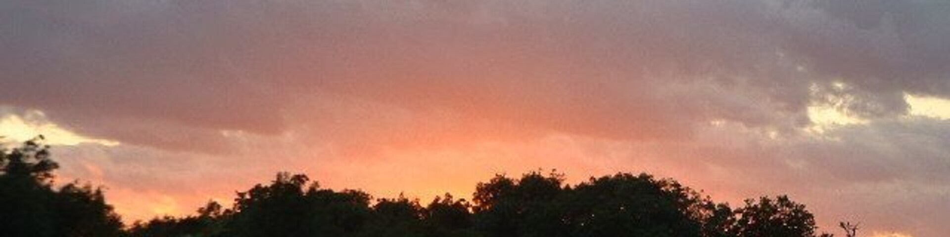 A sunset with a sky of orange and purple hues, and a silhouette of trees in the foreground.