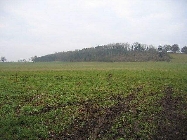 View towards Ashorne Hill. Looking across the NW corner of this square from the lane to the village of Ashorne towards the wooded slopes of Ashorne Hill in the adjacent square.