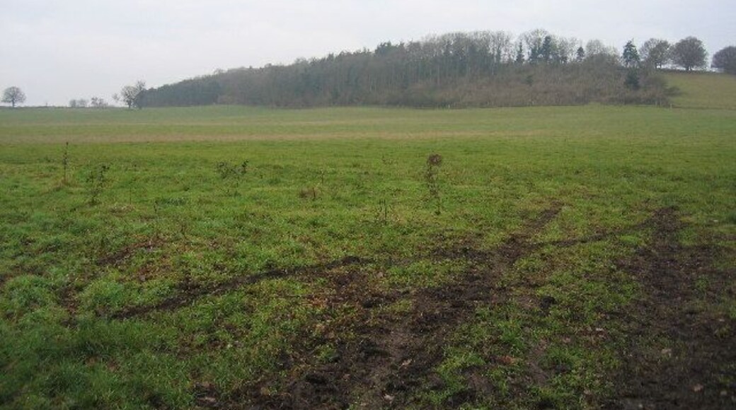 View towards Ashorne Hill. Looking across the NW corner of this square from the lane to the village of Ashorne towards the wooded slopes of Ashorne Hill in the adjacent square.