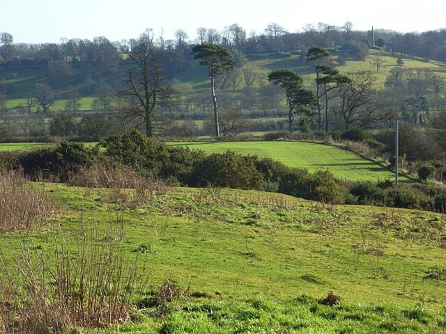 Farmland and copse, Avon Dassett In the foreground is the edge of a steep area of pasture with gorse bushes. Beyond is arable land above a copse with prominent pines. The obelisk in Farnborough Park can be seen in the distance.