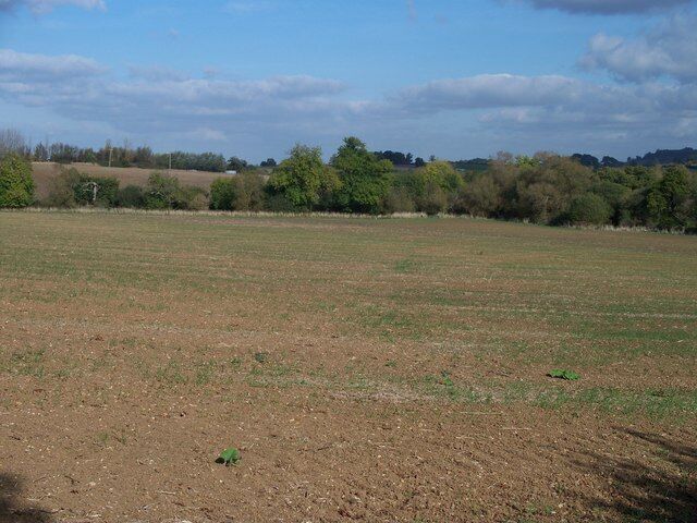 Farmland near Todenham Looking down a recently planted field, the trees mark the course of a brook.