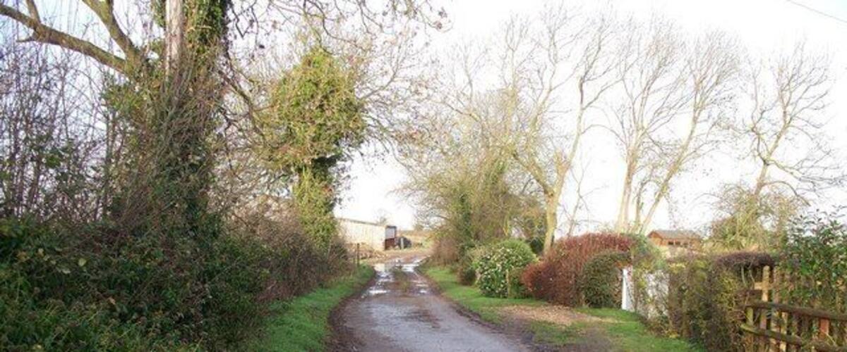 A narrow rural road with puddles, surrounded by greenery and fences.