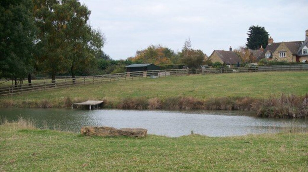 Pond near Great Wolford