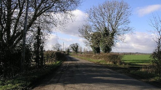 Harbury Lane. Harbury Lane, Ladbroke cuts through the NE corner of this square.