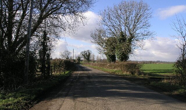 A rural road flanked by trees and bushes, leading towards a green field.