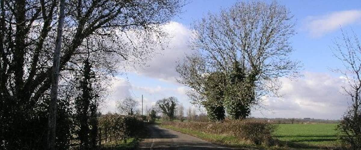 A rural road flanked by trees and bushes, leading towards a green field.