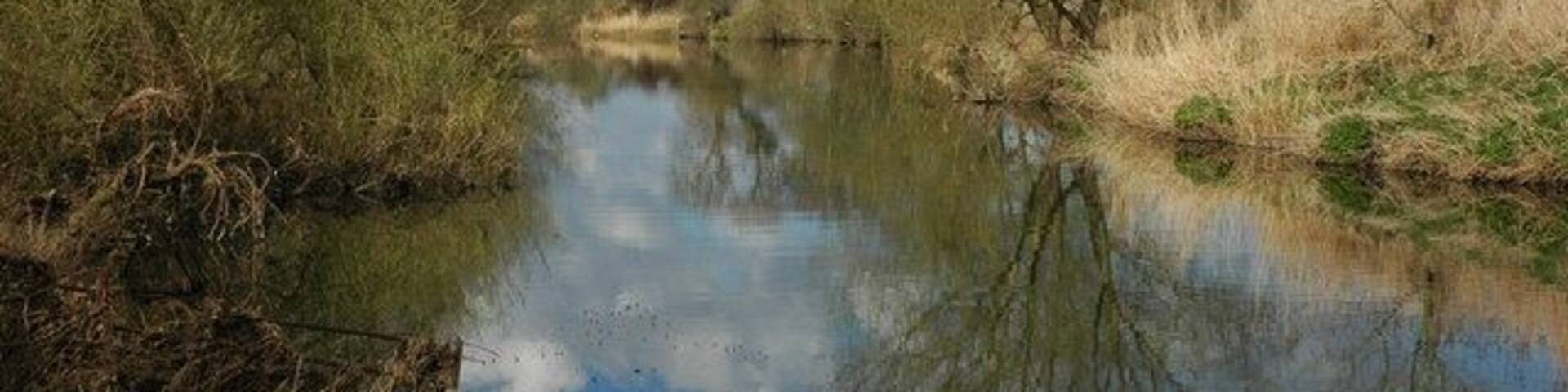 A calm river with reflections of trees and sky, surrounded by grassy banks.