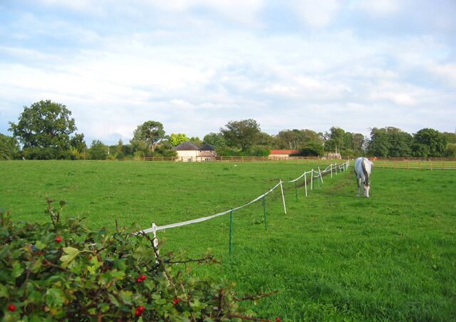 Paddocks by the B5071. One of a series of paddocks to the east of the B5071, most of which contain only a single horse