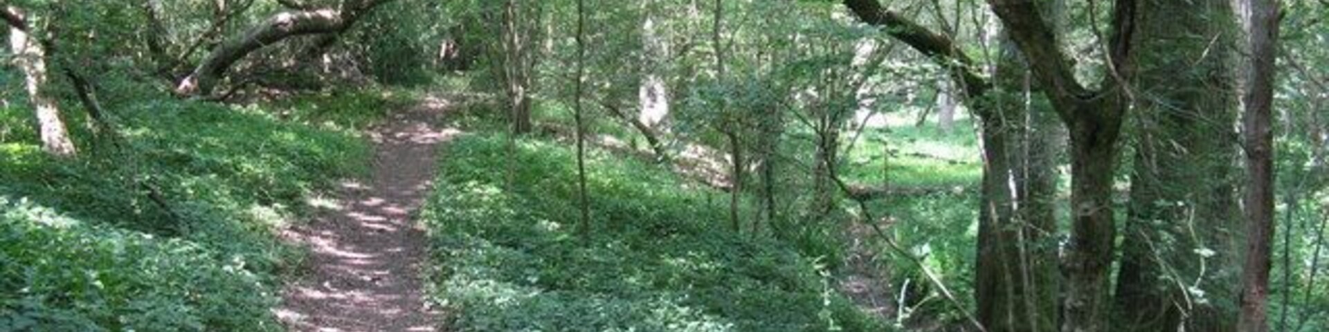 Footpath west to Grainingfold Farm