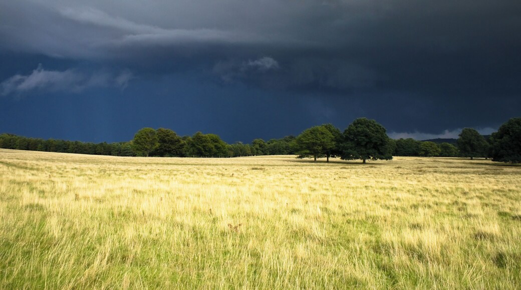 Storm Brewing over Petworth Park