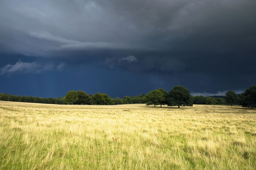 Storm Brewing over Petworth Park