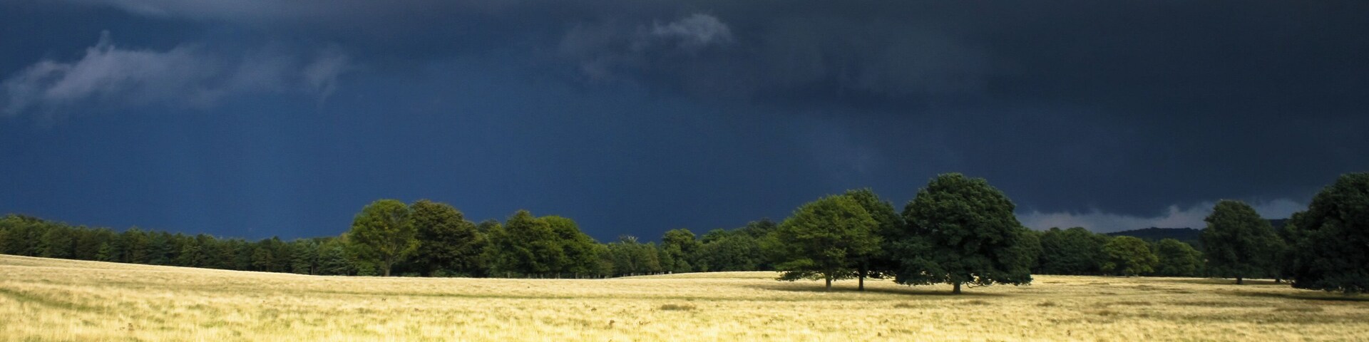 Storm Brewing over Petworth Park