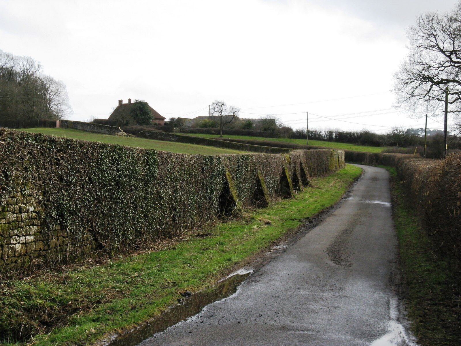 SE on the Upperton road to Parkhurst Farm. In front of the Farmhouse the wall is damaged allowing a view of Petworth Park 1734890.