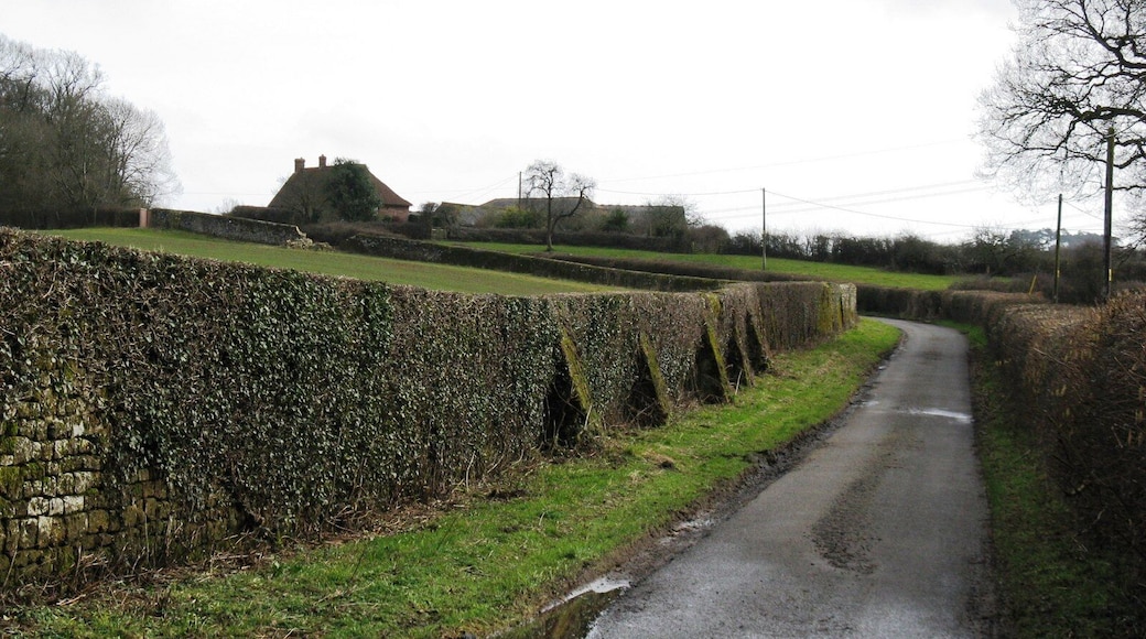 SE on the Upperton road to Parkhurst Farm. In front of the Farmhouse the wall is damaged allowing a view of Petworth Park 1734890.