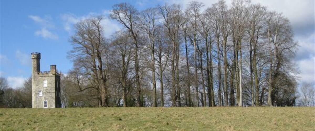 Een historische stenen toren en een rij kale bomen in een grasveld.