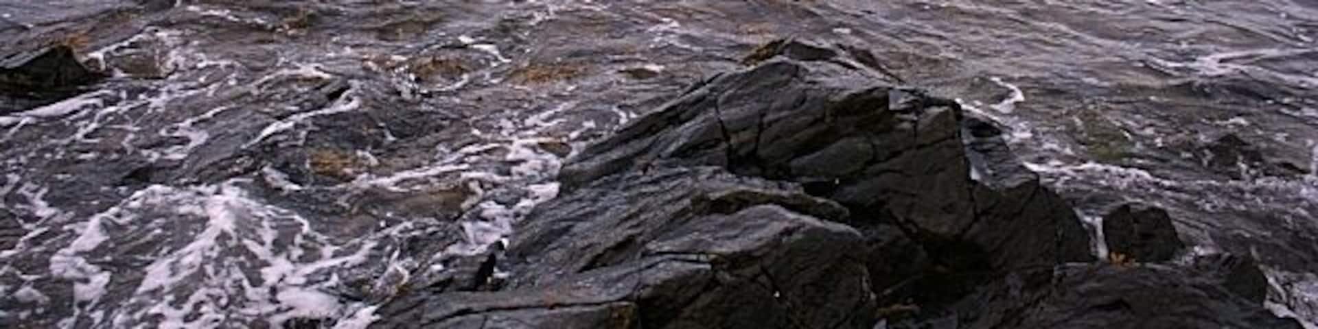 Bailiff's Skelly This is another awkward square to geograph, though it's not hard to get to. The only land is a few square metres of rocky foreshore which is exposed only at low tide. Low tide today is well after dark, and when I visited it late this afternoon only a couple of rocks were above the water - only just enough for this image. It was a great relief when the GPS showed that I was standing on the very corner of the square! The rock called Bailiff's Skelly is actually still submerged.